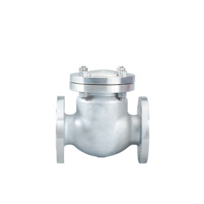 Professional Manufacture Ss304316 Industry Flanged Swing Check Valve Metal Api Swing Check Valve